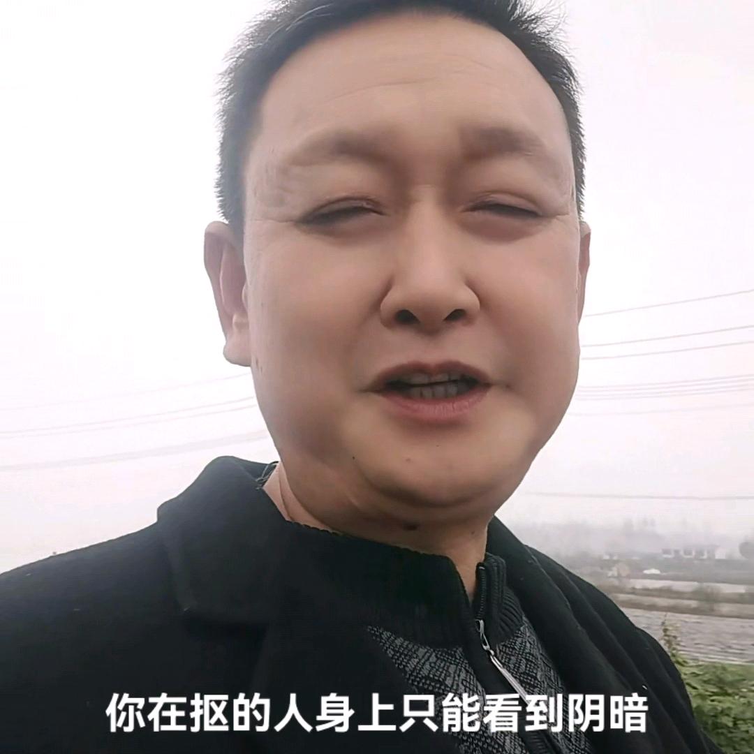 梅花带雪飞