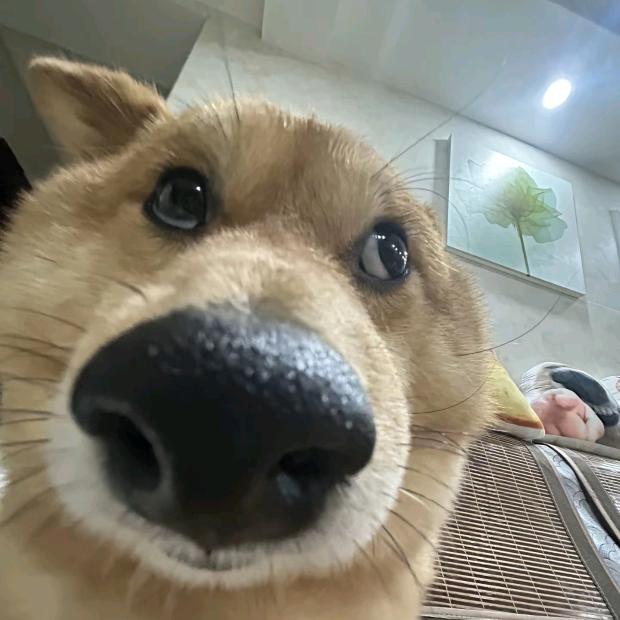 人机