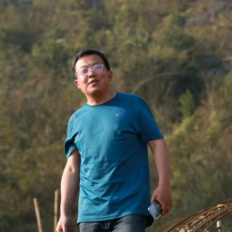 中国香椿大叔