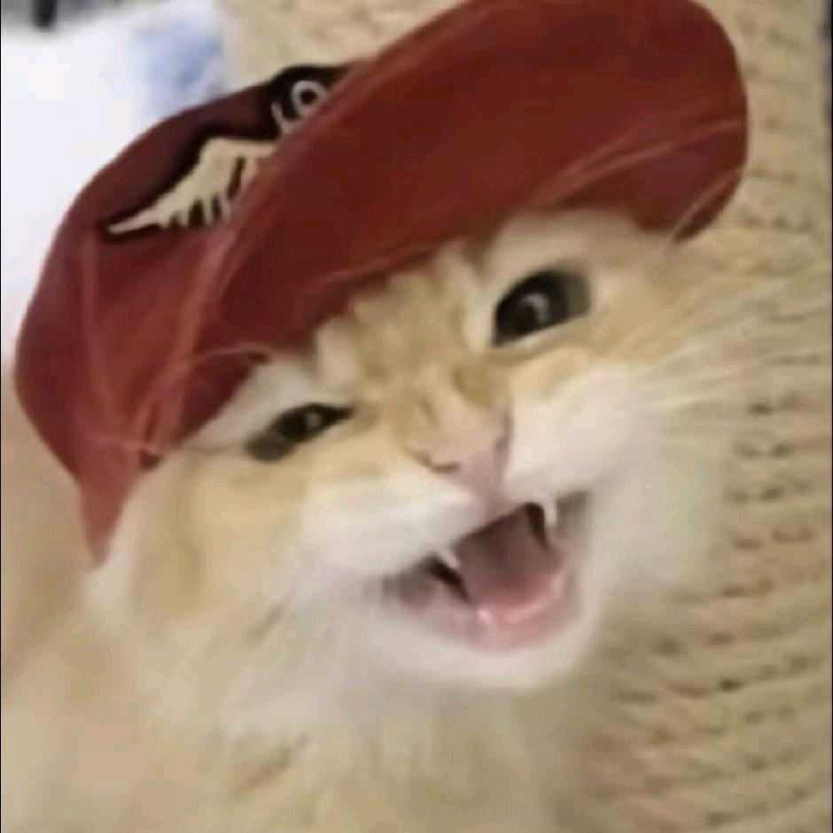 陈死鱼yu