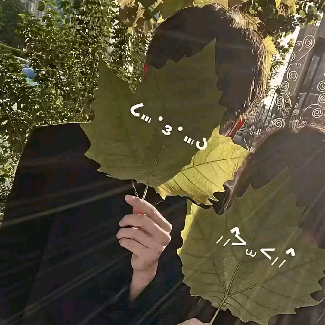 听梧.✰