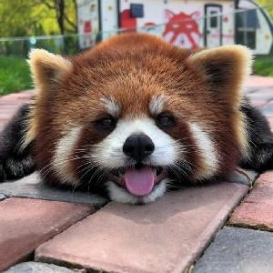 ༊ঞོ魅💜影ོ࿐ʚʕ̯•͡˔•̯᷅ʔɞ