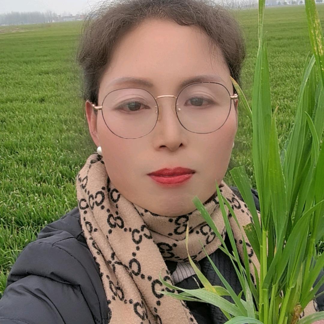 柏林书亚农资