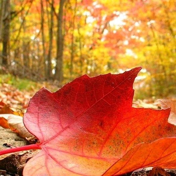 幸福    请你等等我