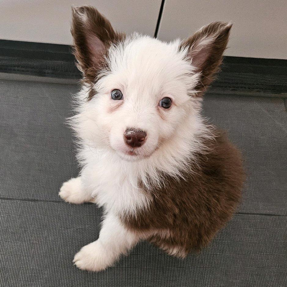 山丹创尔电器臻选阁