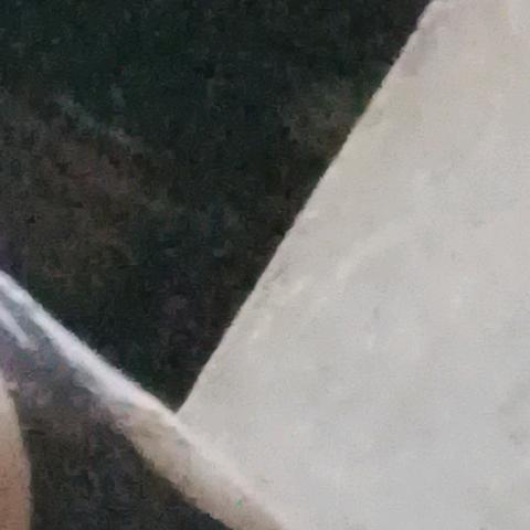 大宝