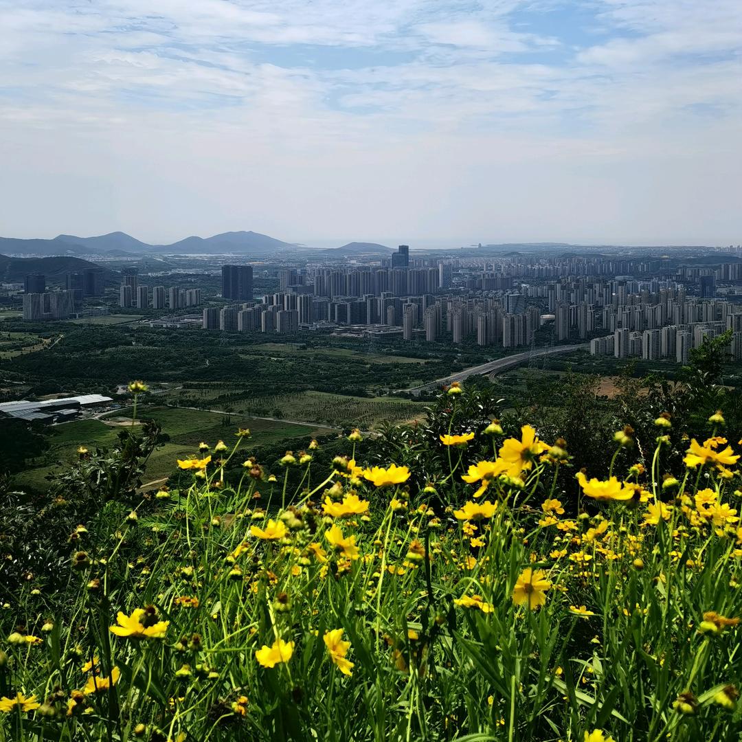 东山再起