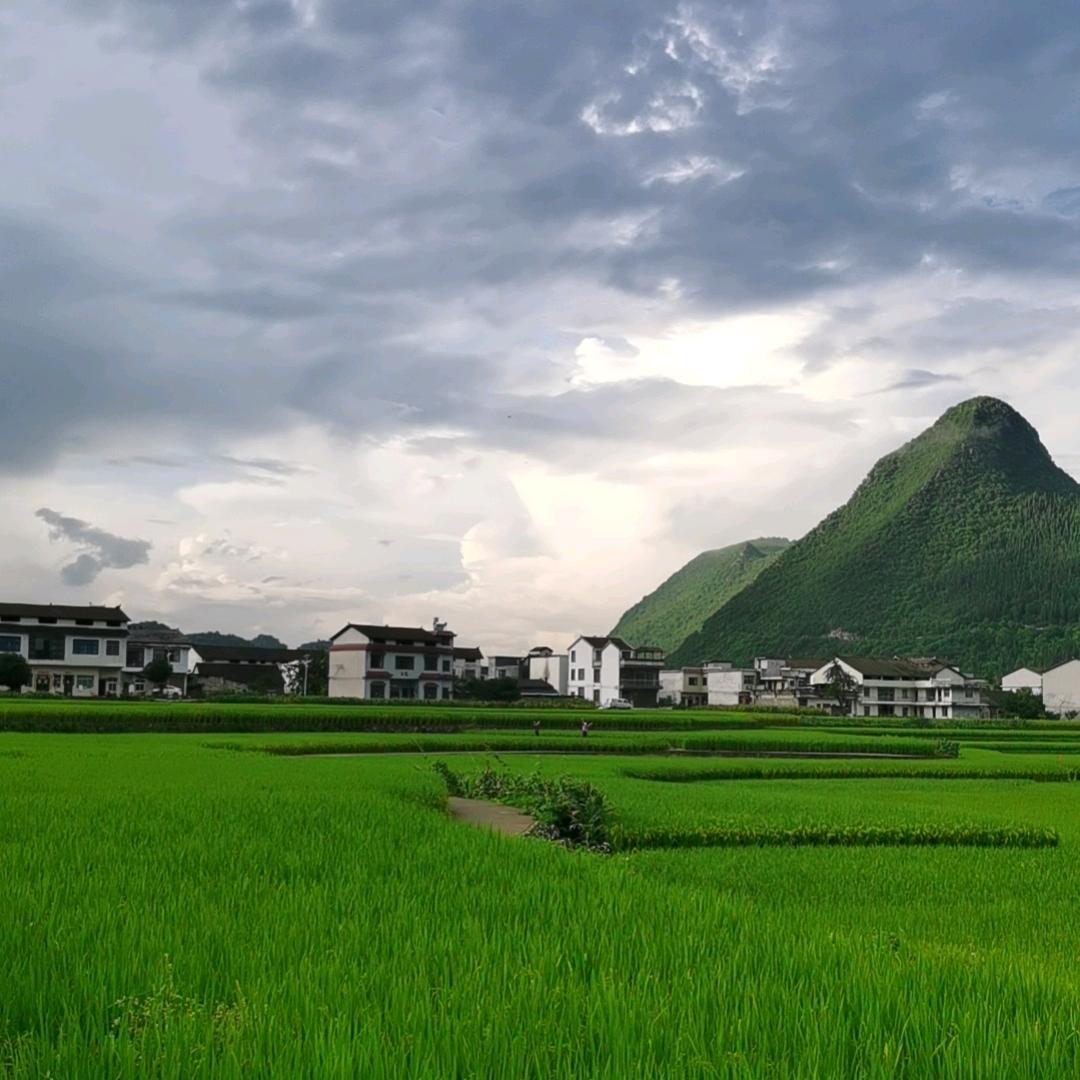 人以食为天 ，品天下美食。