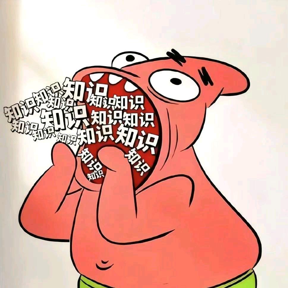 盒子的墩墩