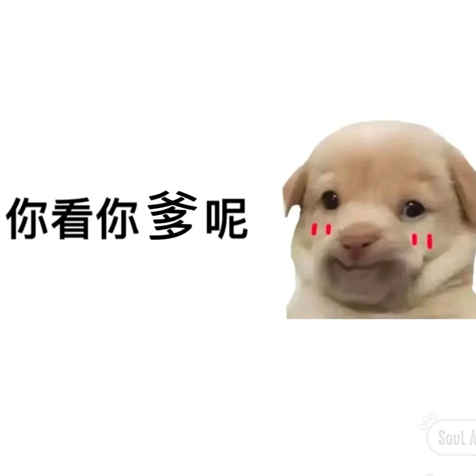 御龙在天-小喜哥