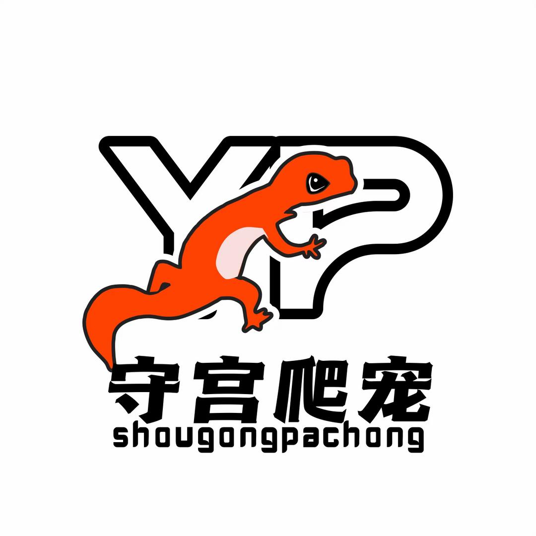 YP守宫爬宠