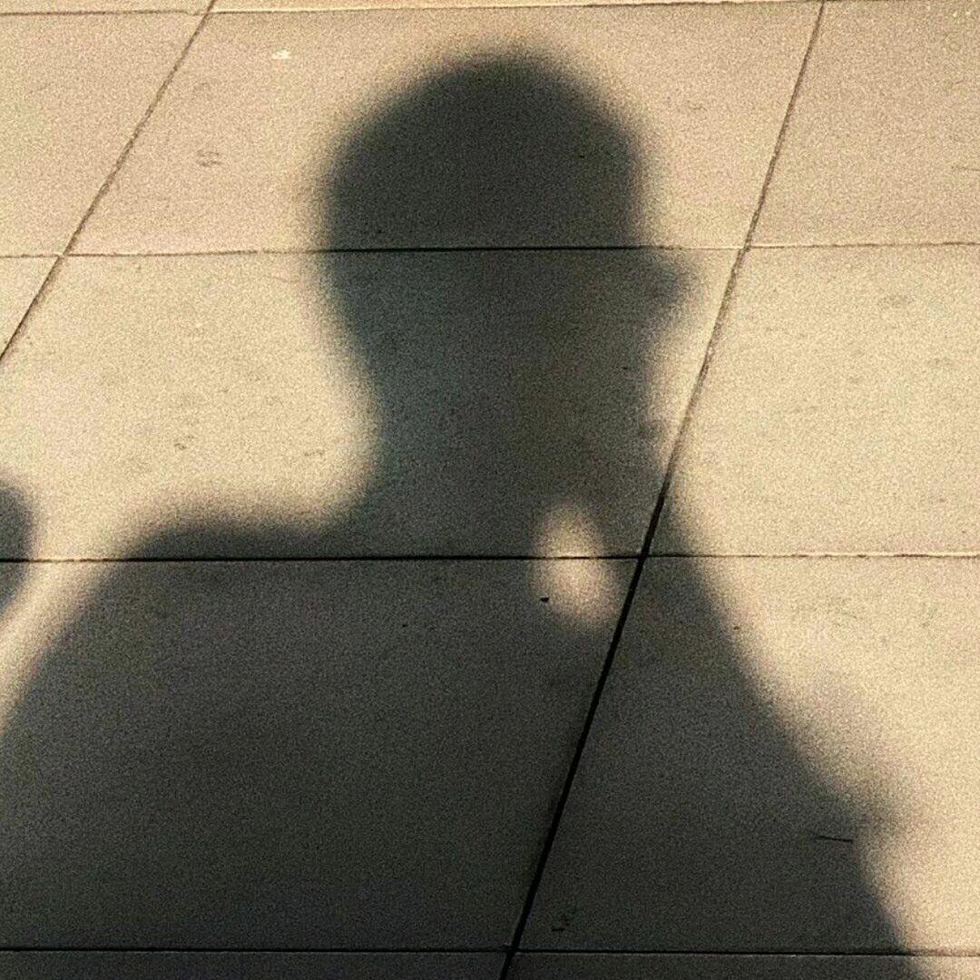 夕遇岸萱