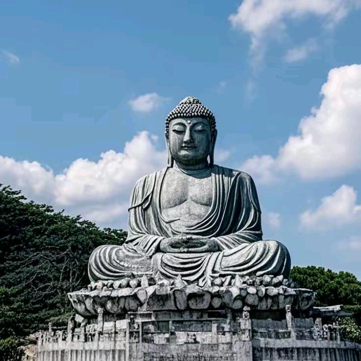 乘风破浪