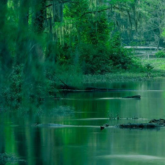 🌨️🌨️🌨️🌨️