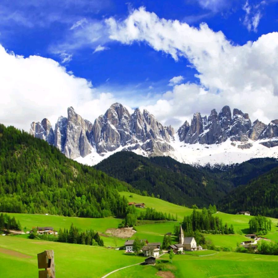 花花（精选穿搭）