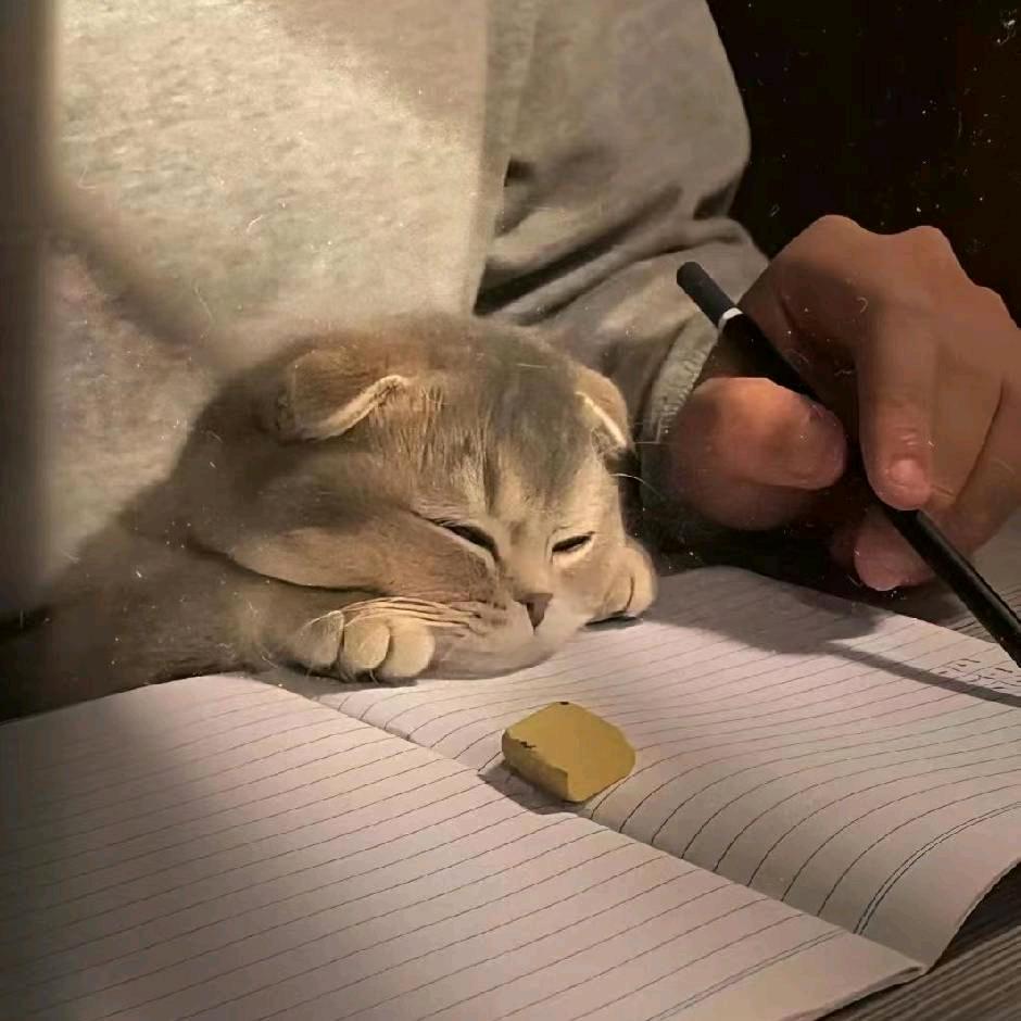 我是二窝