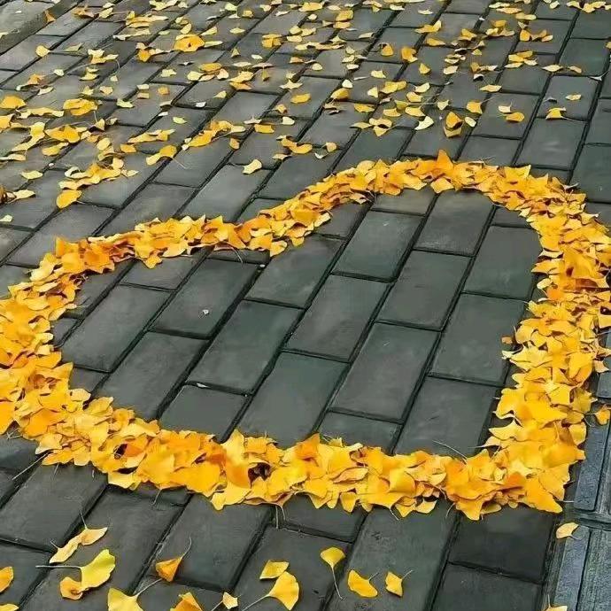 燕青小乙
