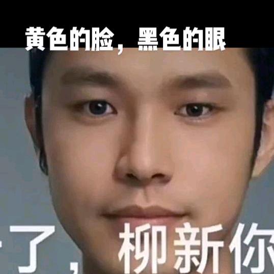 柳新一支花🌸