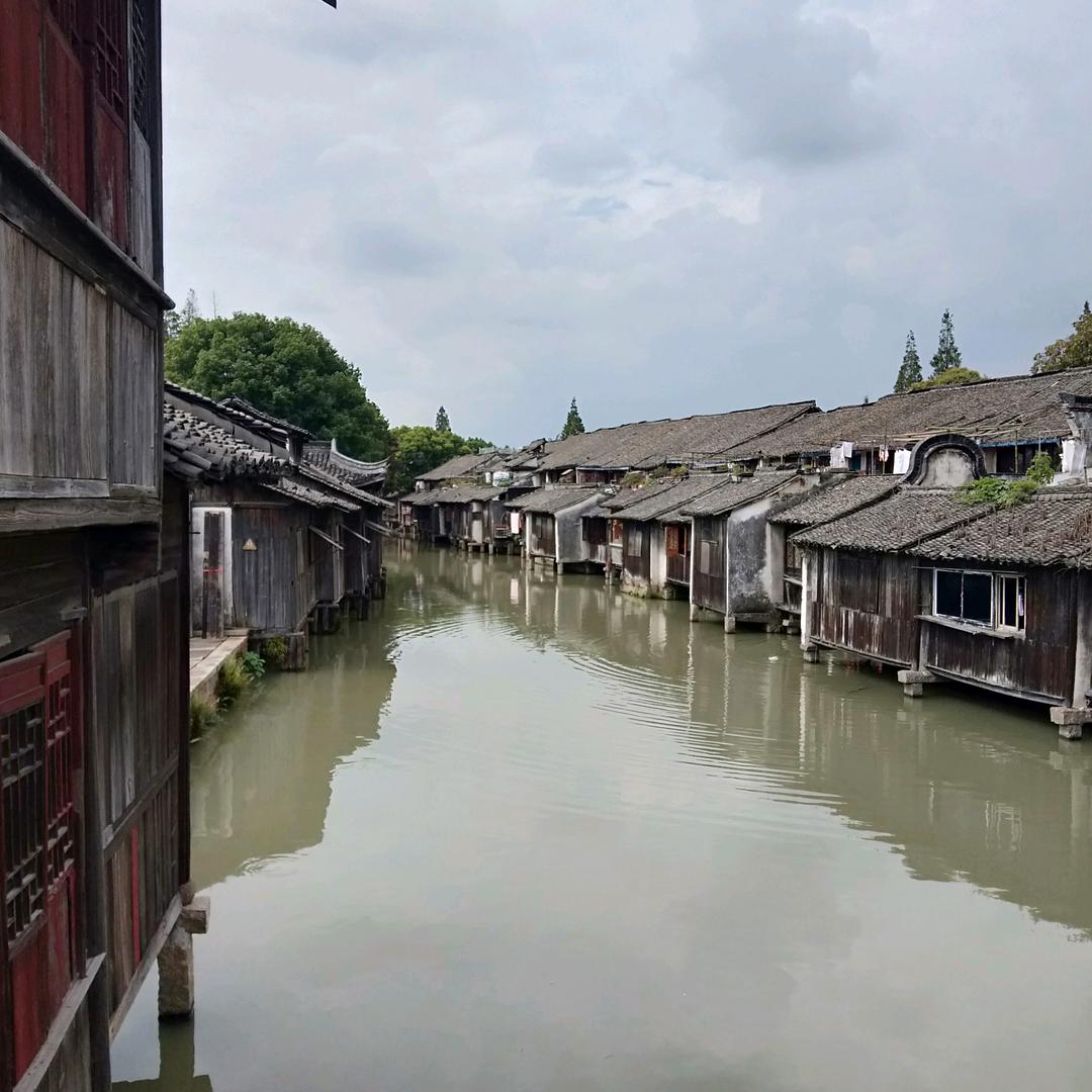 天秤座♎