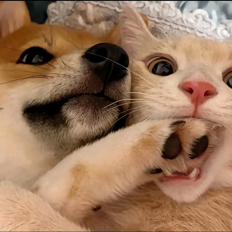 。。。。，