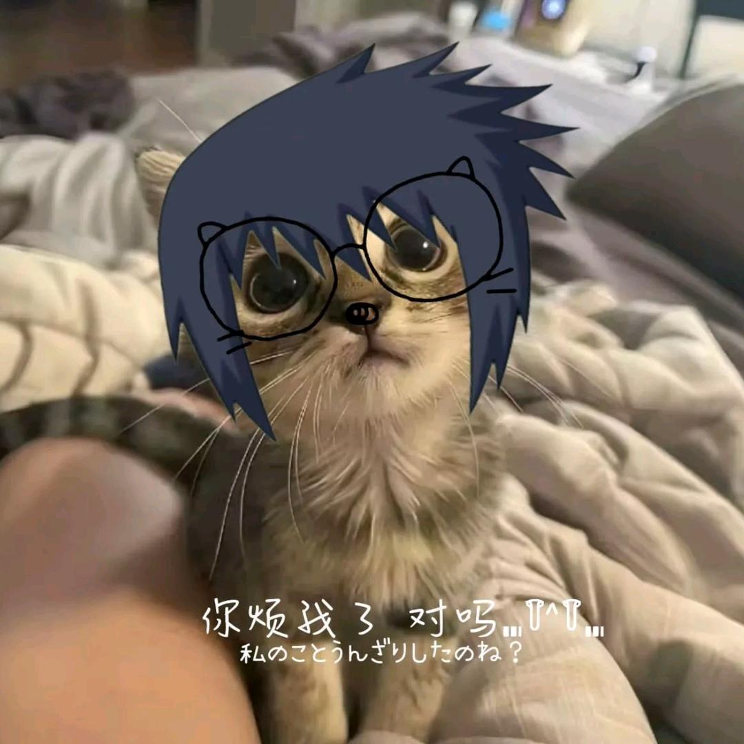 ꒰ঌ安晓含的安໒꒱