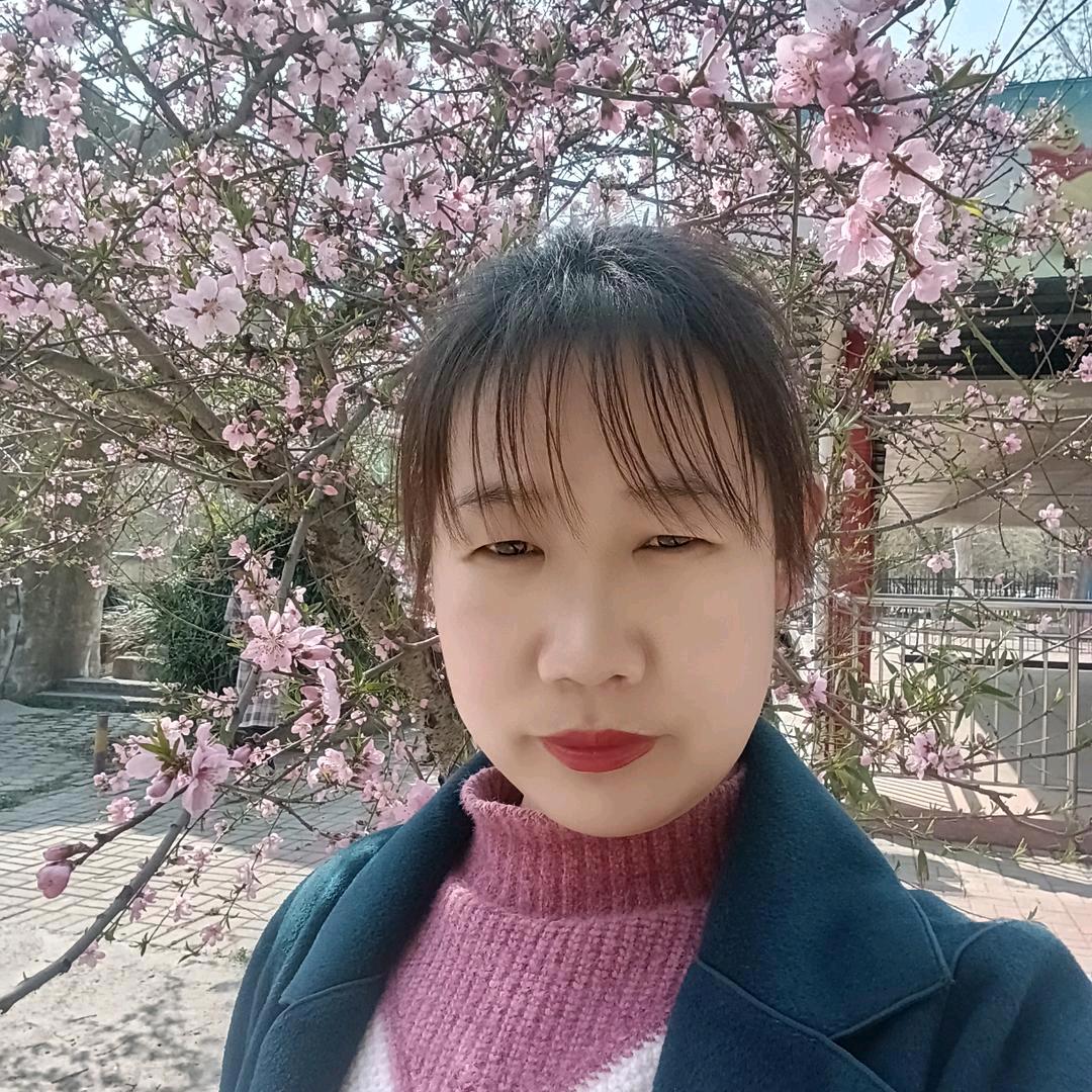 每天好运连连
