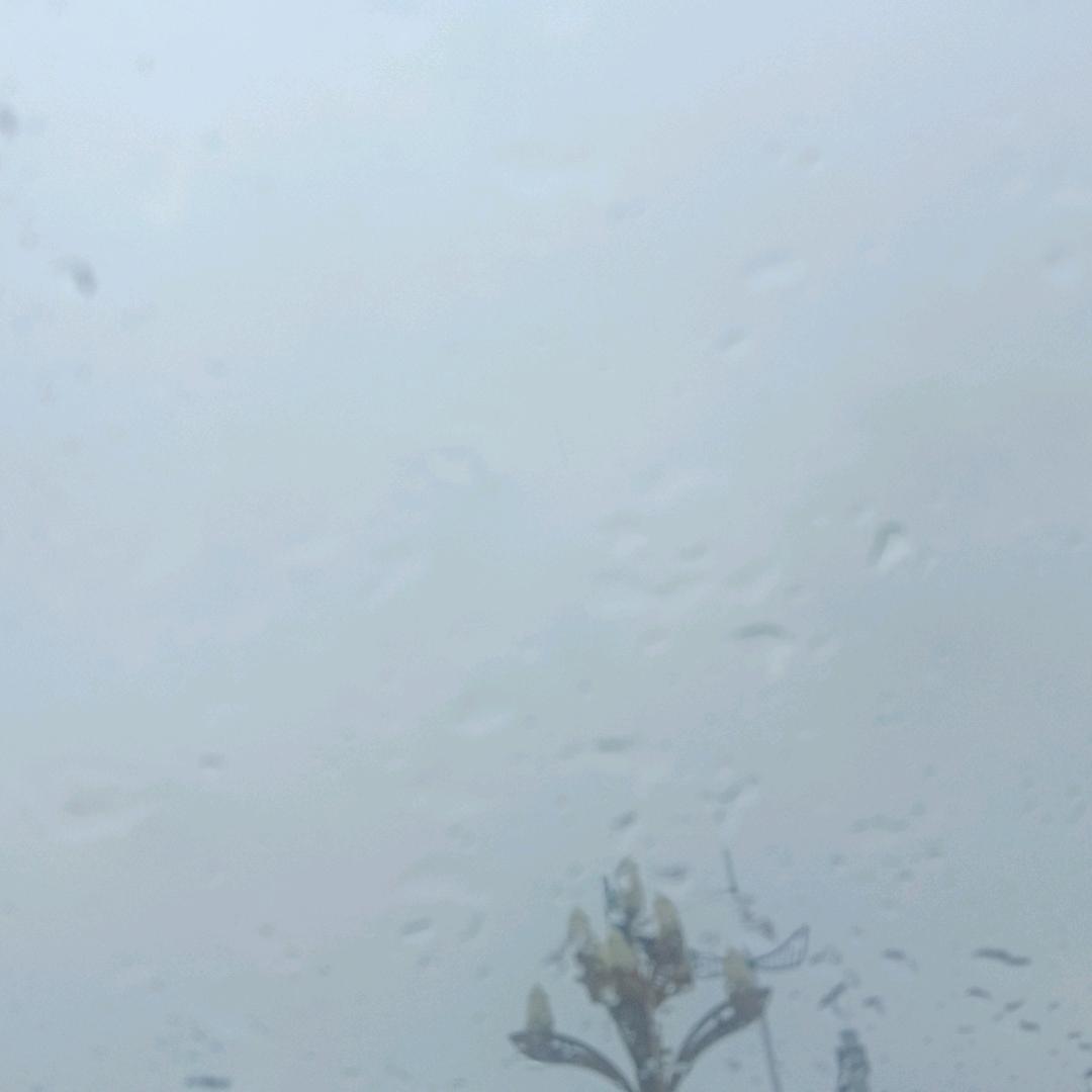 健