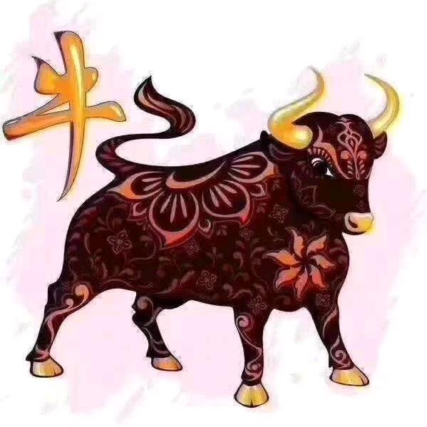 善解人意
