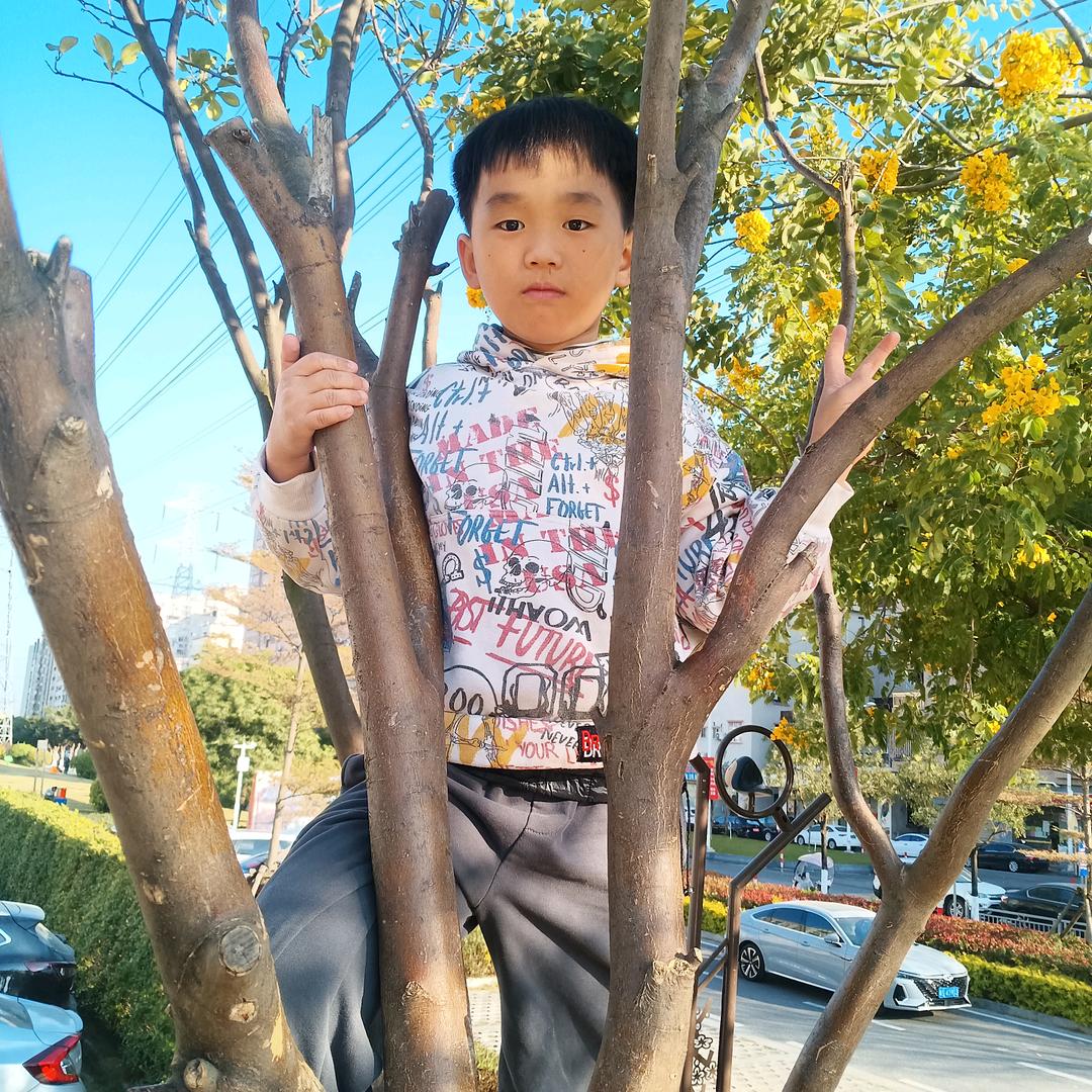 乐观小太阳