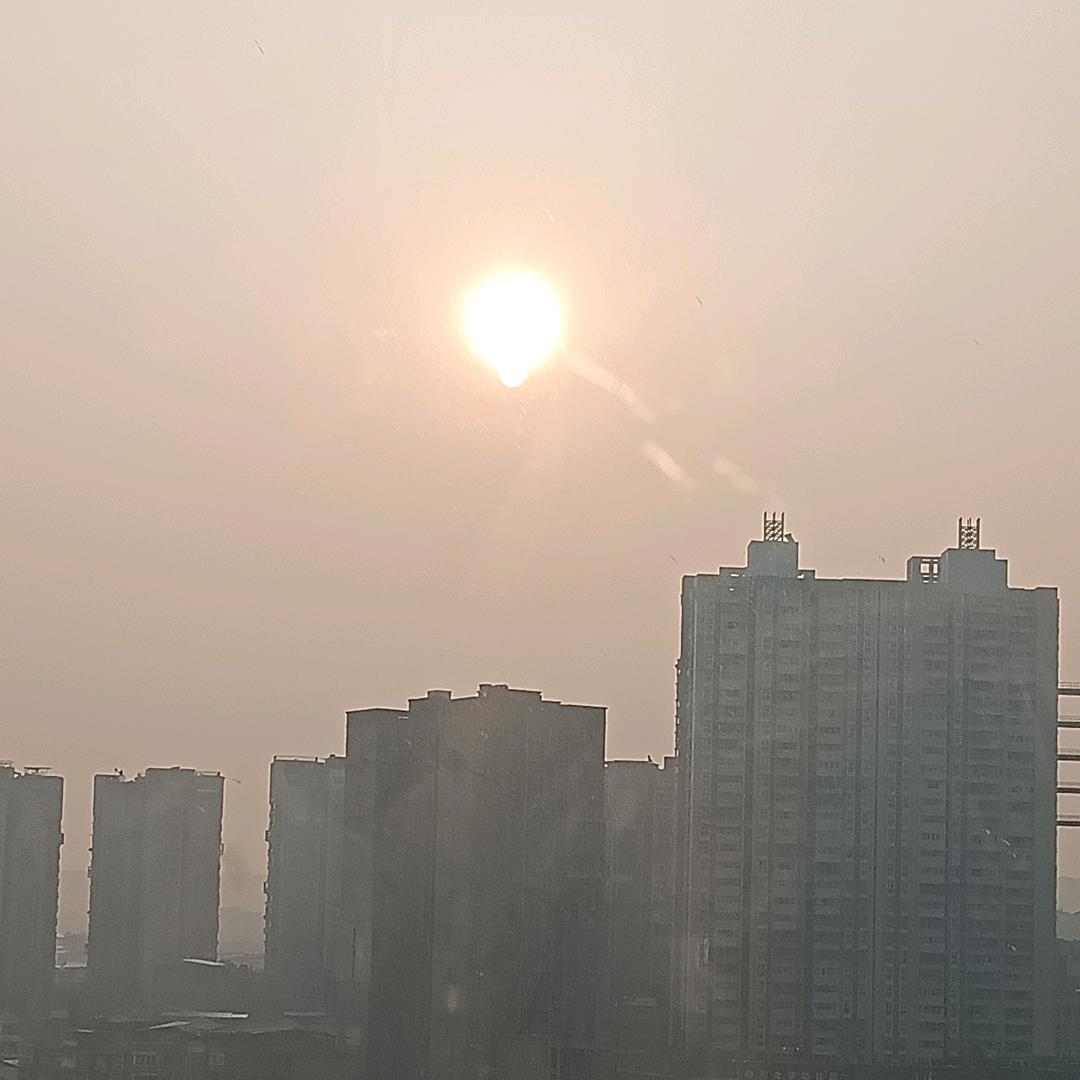 琴缘余生只爱你