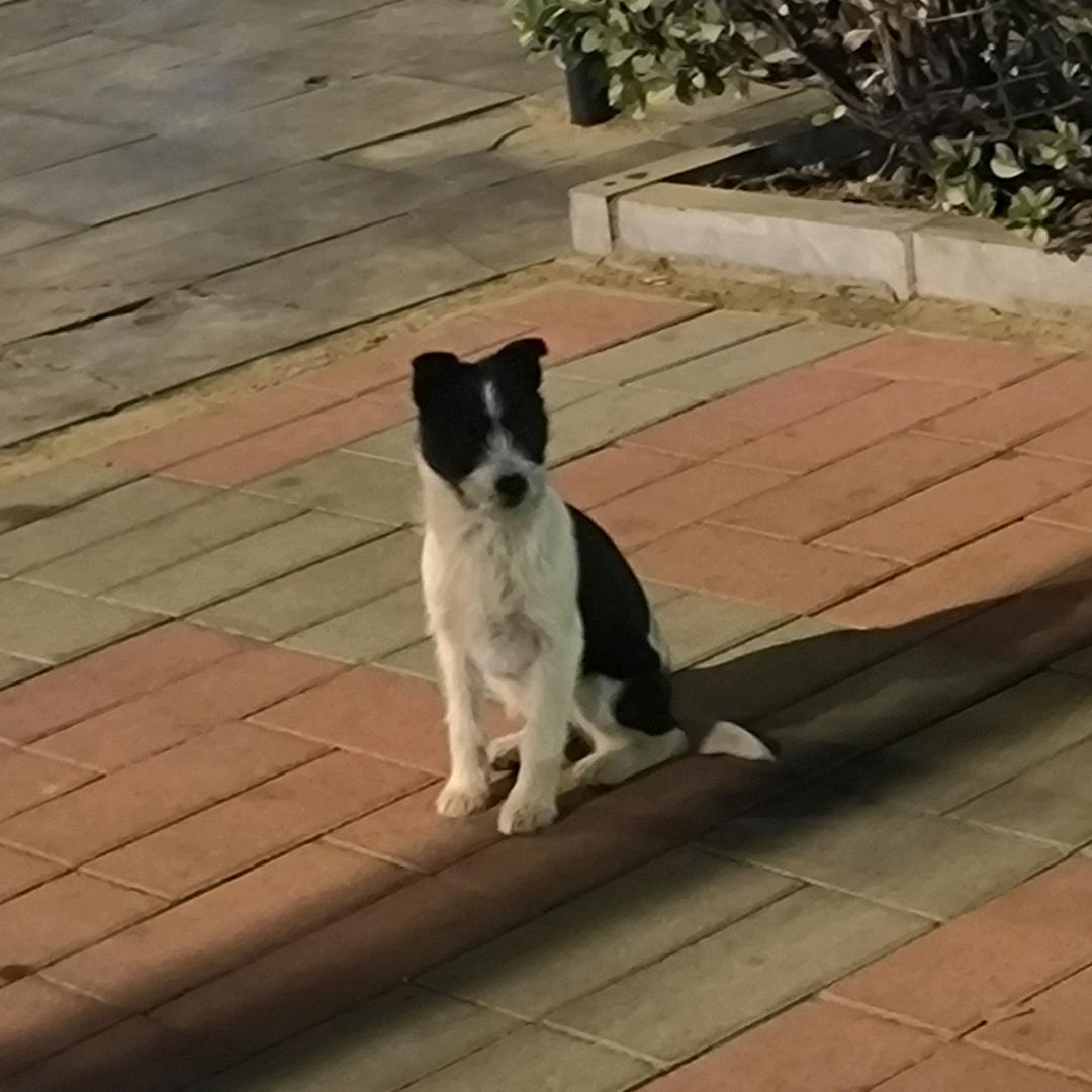 嘟噜度:)