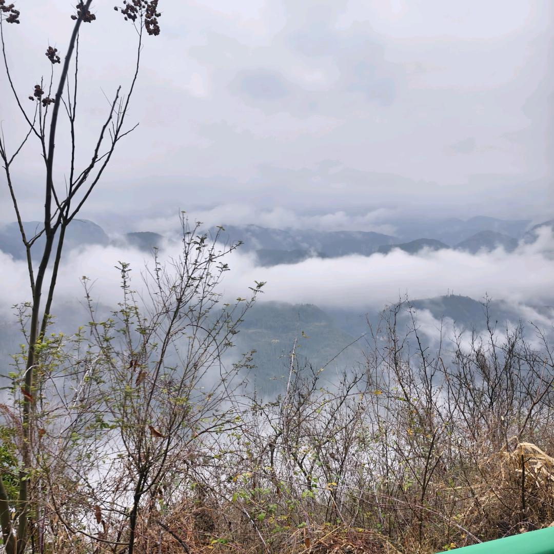 侗家山货严选