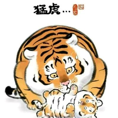 道一