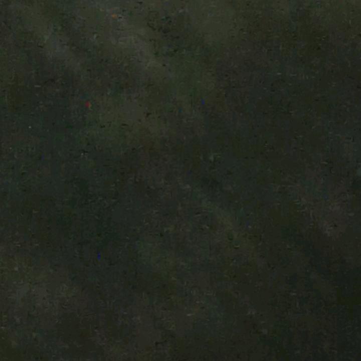 谢大姐