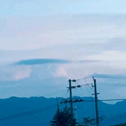 依依