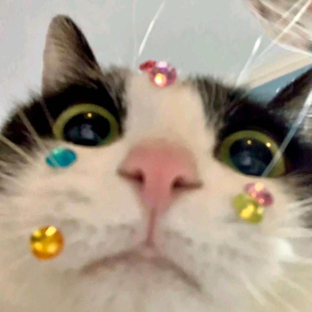 Cattt