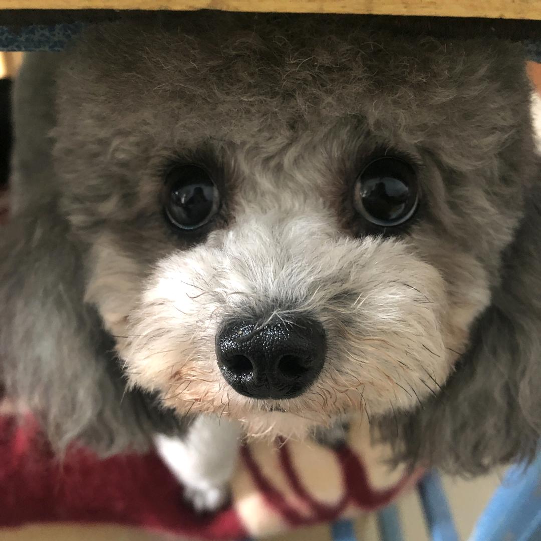 奔老板