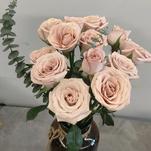 芳宝