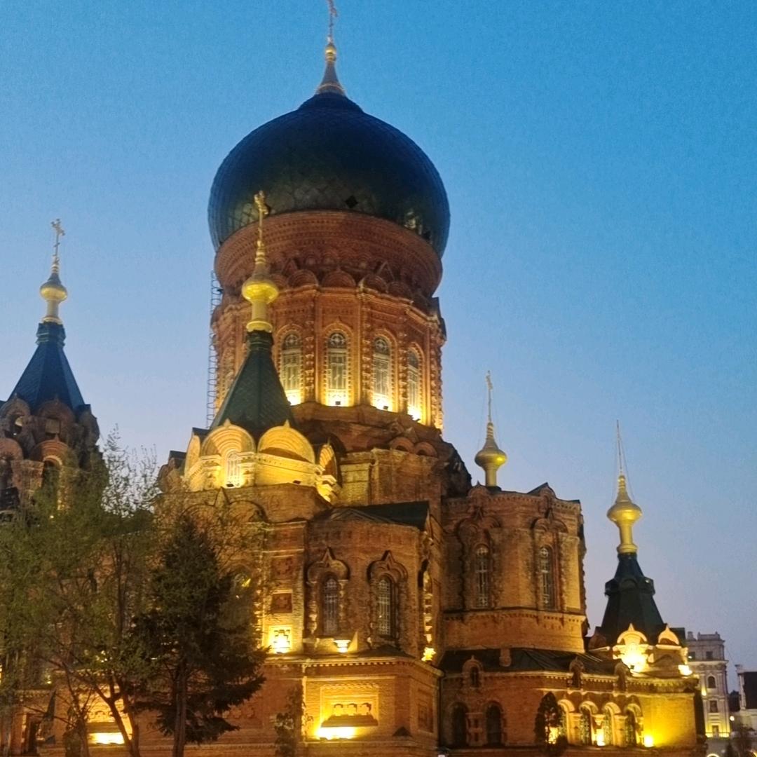 🌹再创辉煌🌴