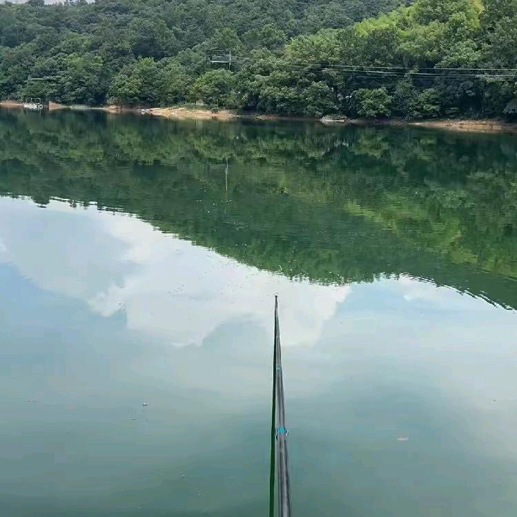 @一叶蔽目
