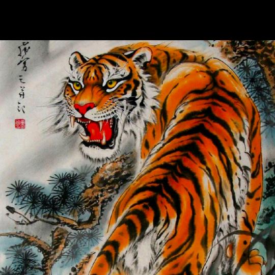 🐅虎魄王者🐅