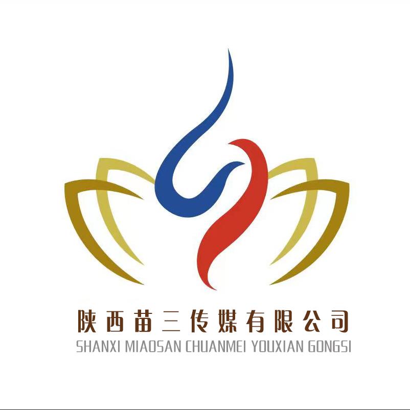 陕西苗三传媒有公司（怡馨婚礼）