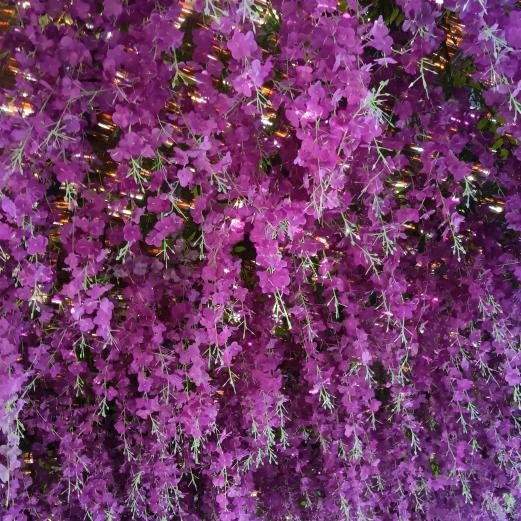 灵花