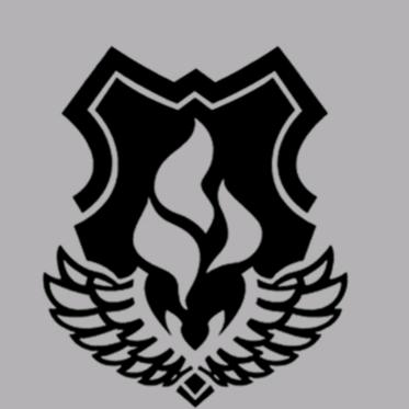 神盾安防