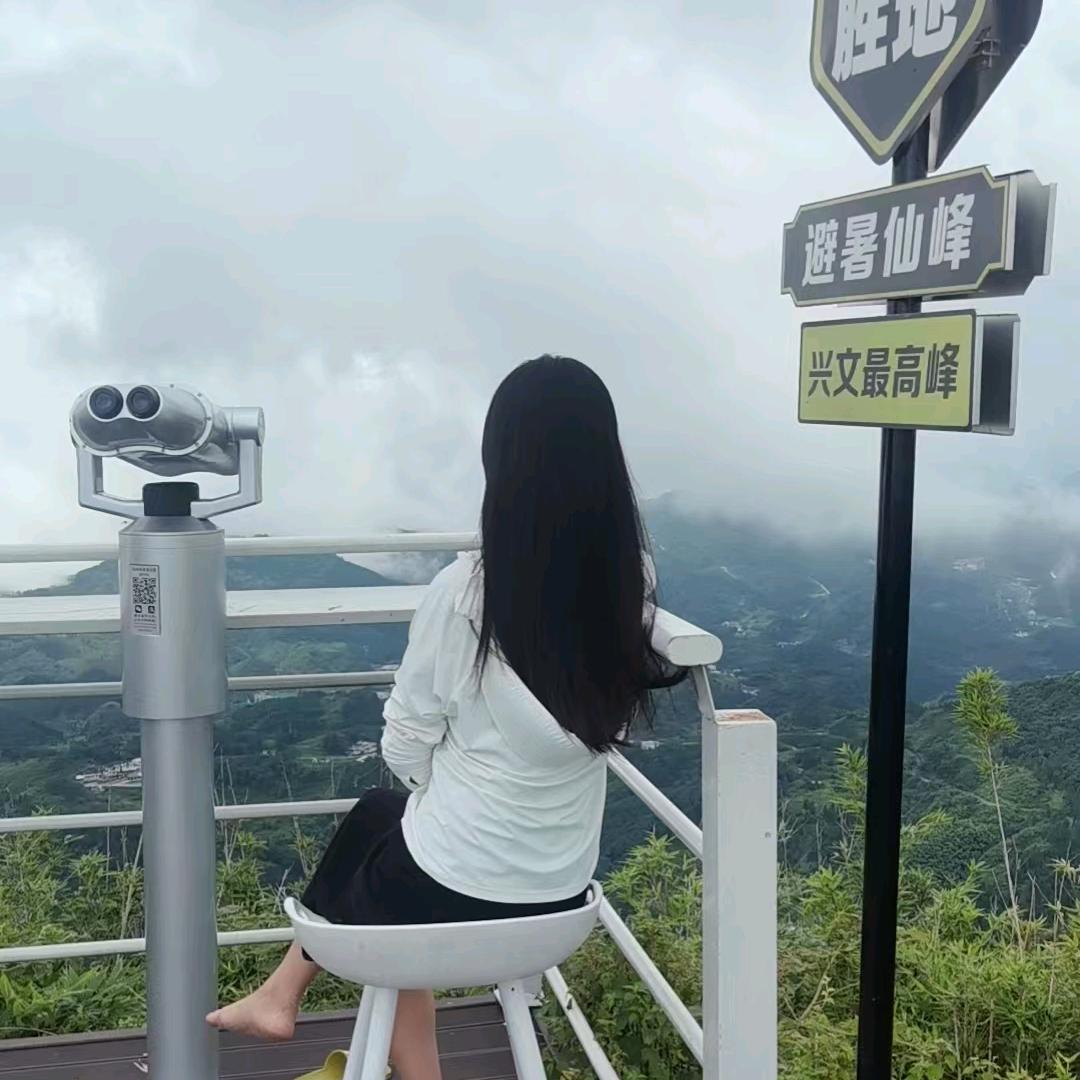 懒婆娘九六