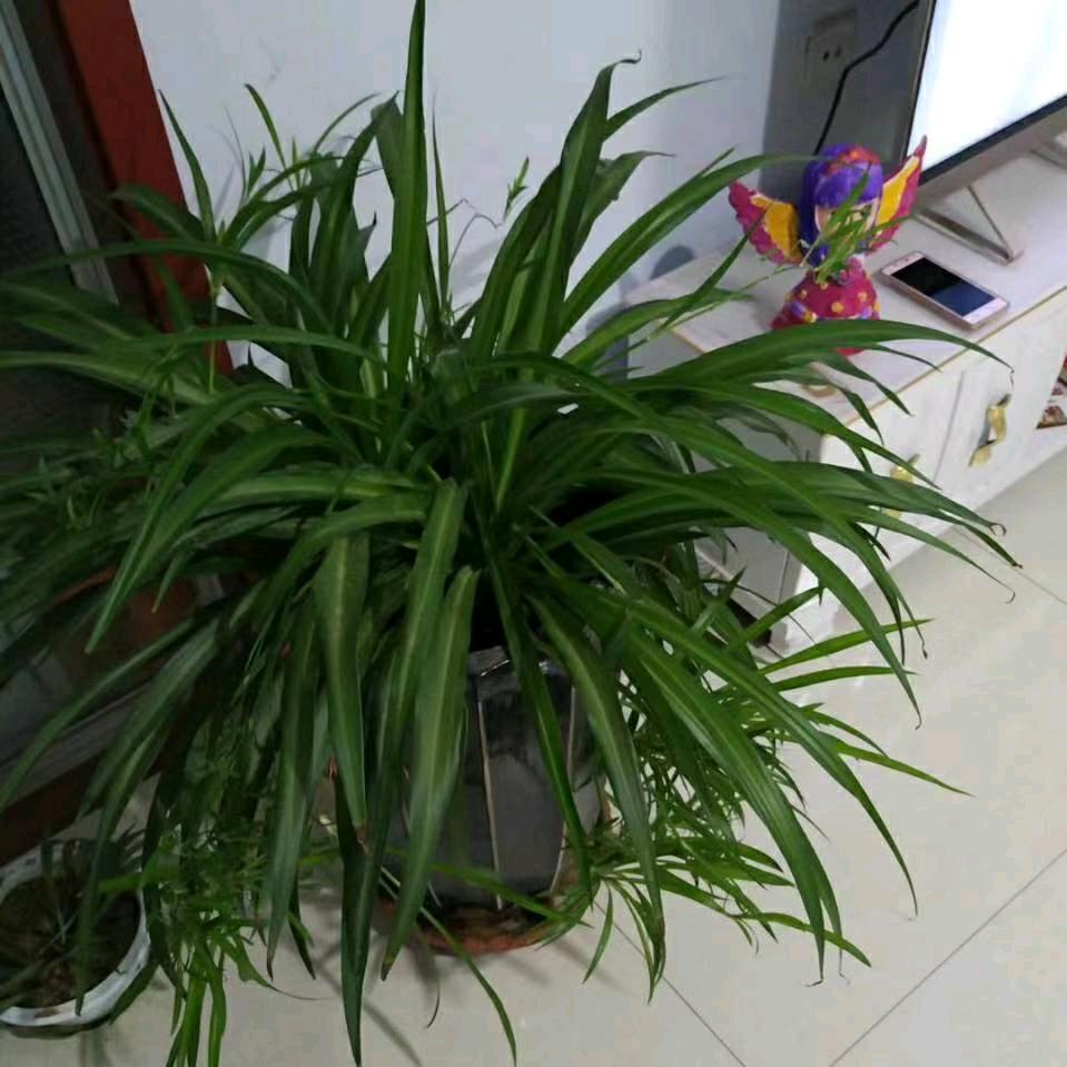回忆