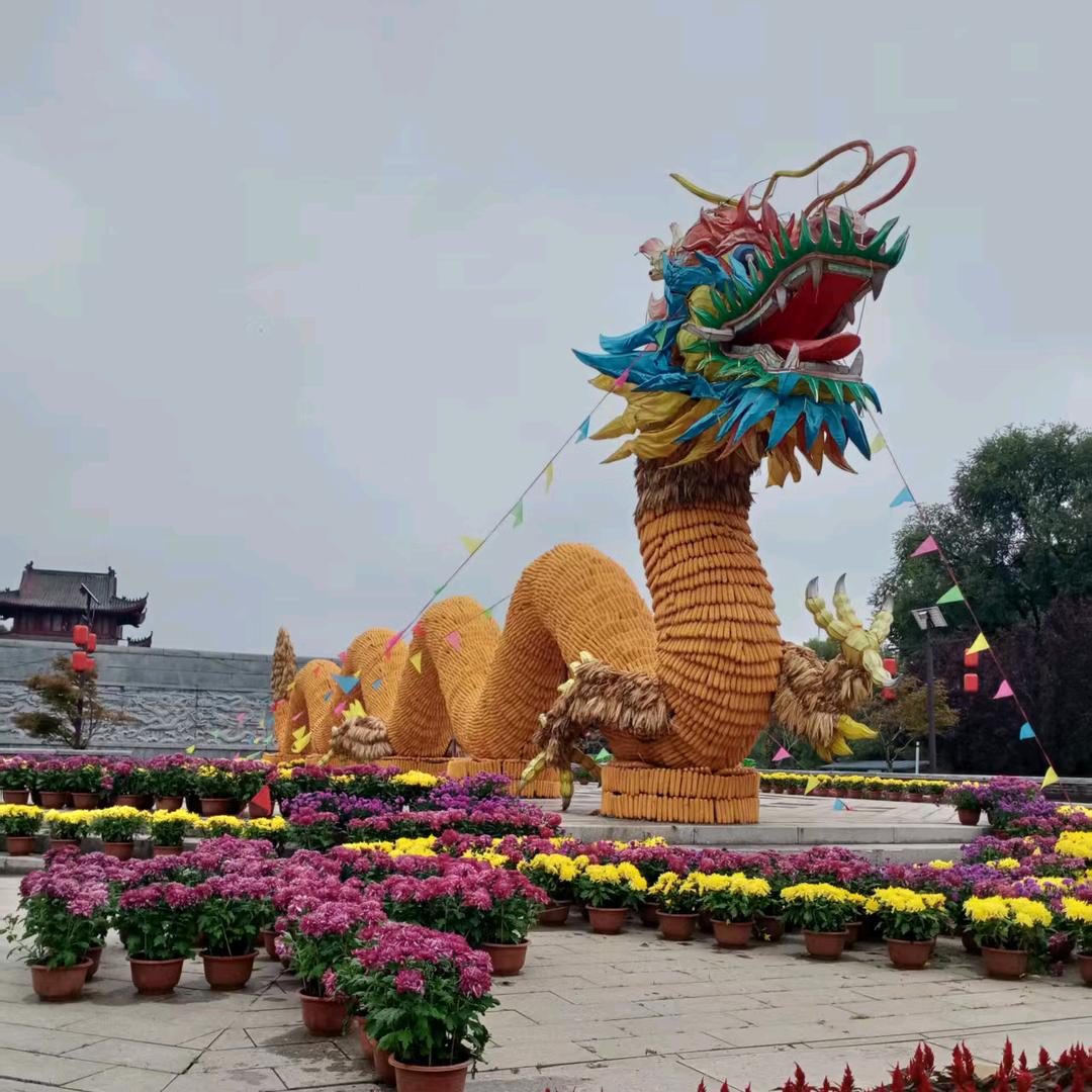 王治德73年🐂（收废轮胎.废编织袋）