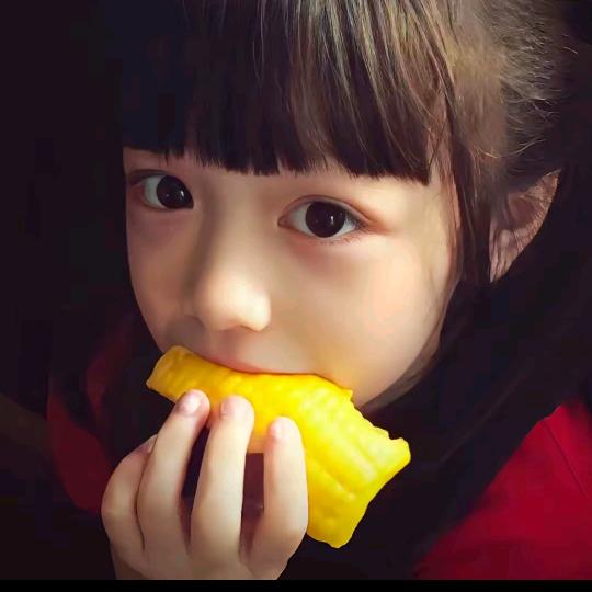 小小瑜