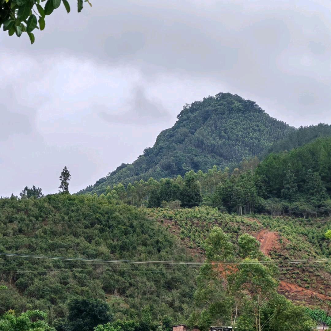 阴阳师