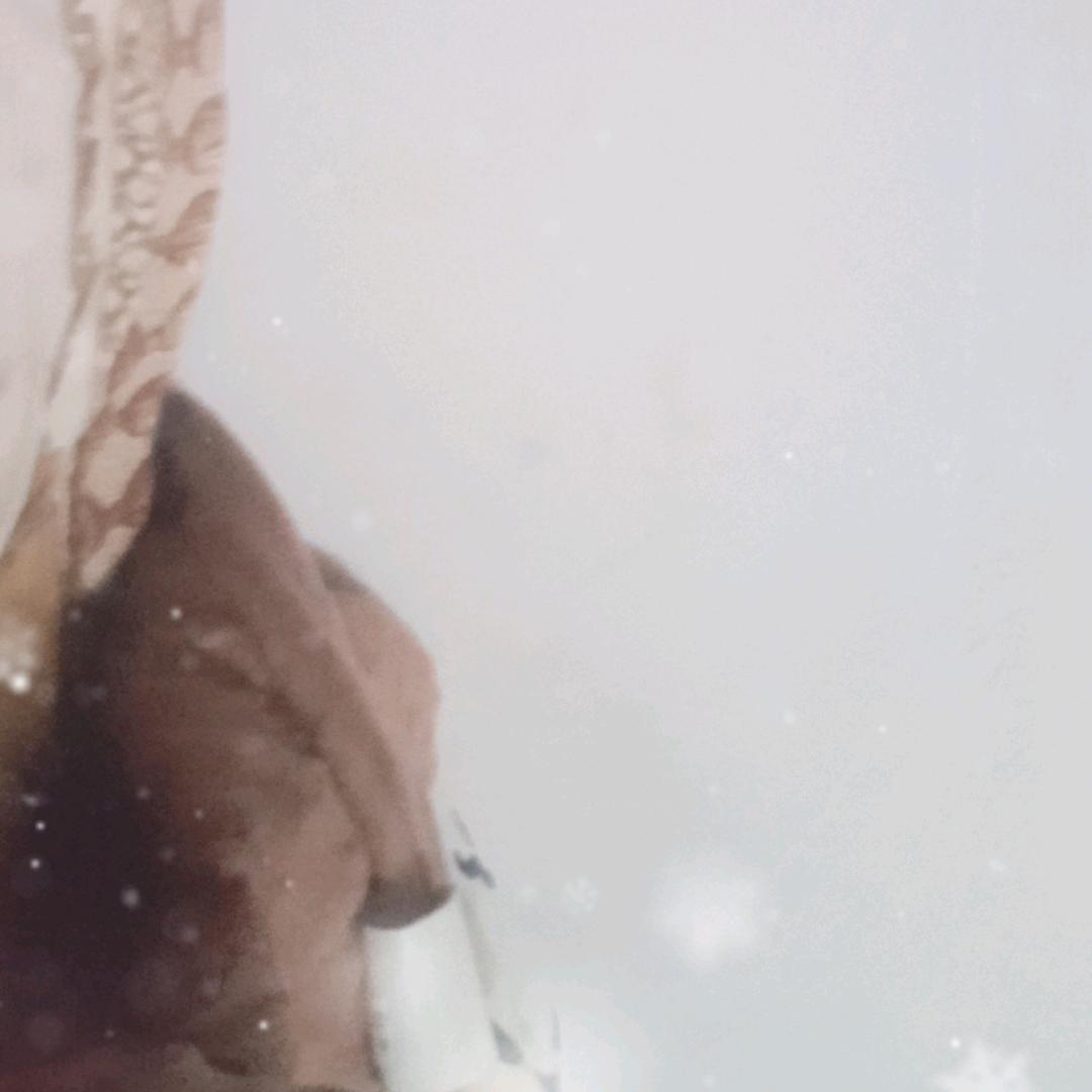 羽毛